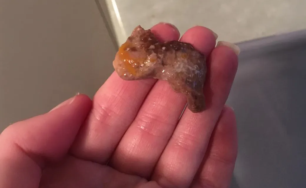 A group of people smiling